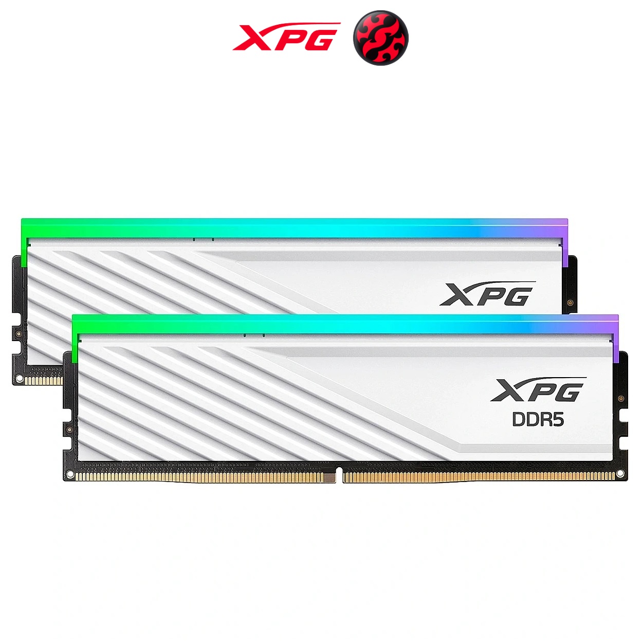 6000 xpg
